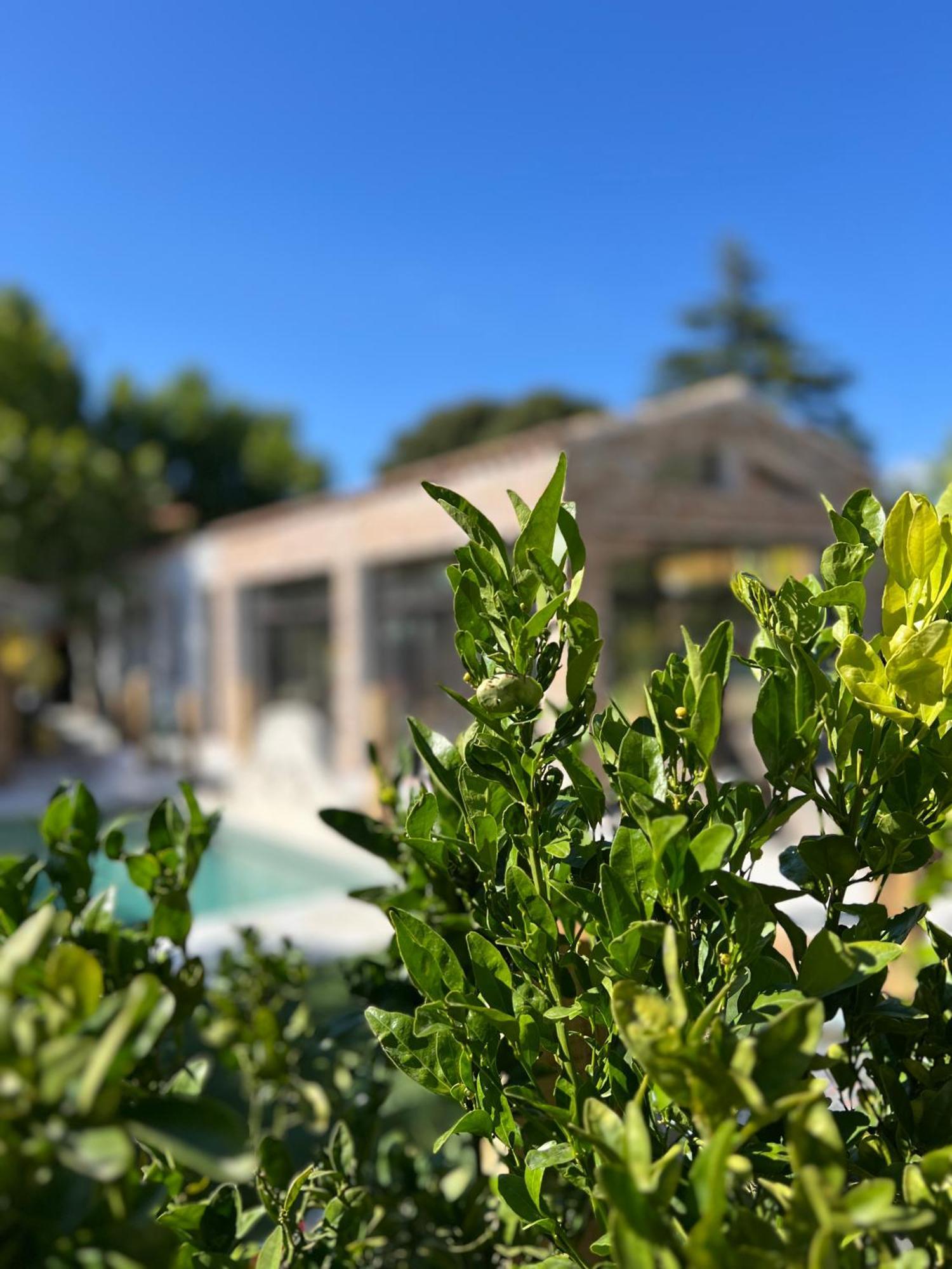 Maison Bagatelle Saint-Cyr-sur-Mer Esterno foto